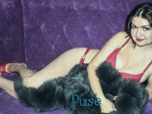 Puse