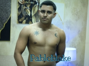 pabloblake Archive DVD BIZ