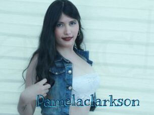 pamelaclarkson Archive DVD BIZ
