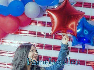 pamelacullen Archive DVD BIZ