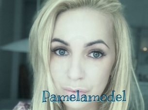 Pamelamodel