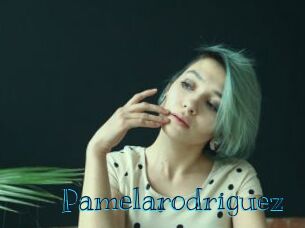 pamelarodriguez Archive DVD BIZ