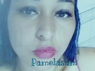 pamelasam Archive DVD BIZ