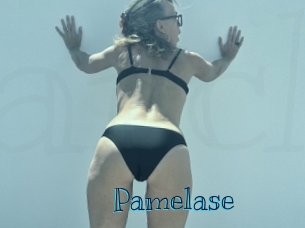 pamelase Archive DVD BIZ