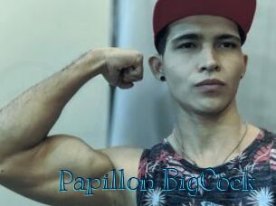 Papillon_BigCock