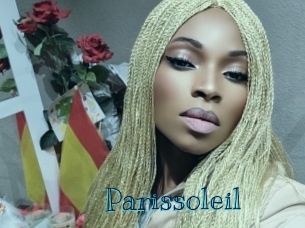 parissoleil Archive DVD BIZ