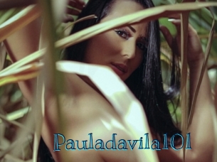 Pauladavila101