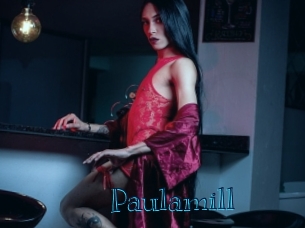 paulamill Archive DVD BIZ