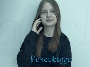 peacebigge Archive DVD BIZ