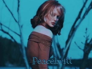 peacebritt Archive DVD BIZ
