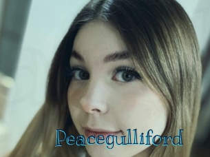 peacegulliford Archive DVD BIZ