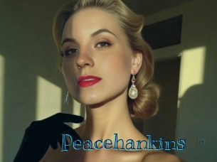 peacehankins Archive DVD BIZ