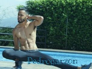 Pedrogarzon