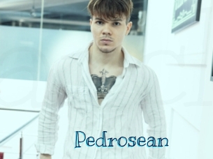 pedrosean Archive DVD BIZ