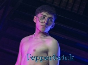 peppertwink Archive DVD BIZ