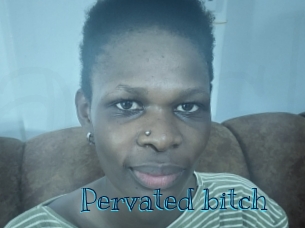 pervated_bitch Archive DVD BIZ