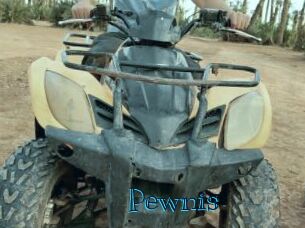 Pewnis