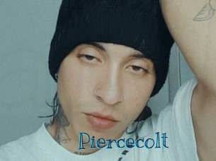 piercecolt Archive DVD BIZ