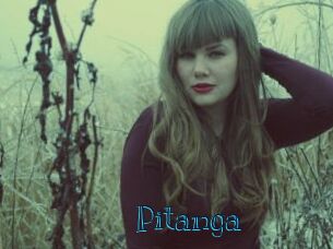 Pitanga