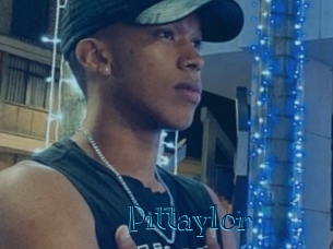 pittaylor Archive DVD BIZ