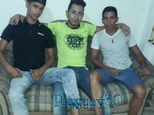 playgay30 Archive DVD BIZ