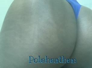 poleheathen Archive DVD BIZ