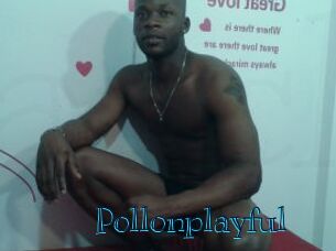 Pollonplayful