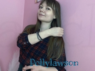 pollylawson Archive DVD BIZ