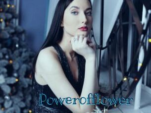 Powerofflower