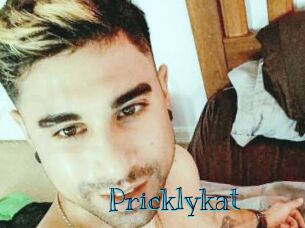 Pricklykat