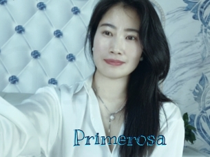 primerosa Archive DVD BIZ