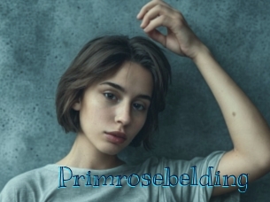 primrosebelding Archive DVD BIZ