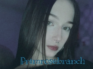 Primrosebranch