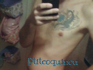 Ptitcoquinou
