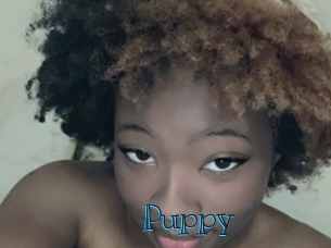Puppy