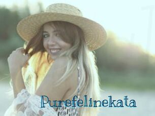 purefelinekata Archive DVD BIZ