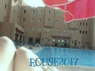 ROUSE2017