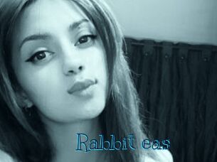 Rabbit_eas