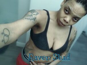Raven_Stud