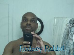 Rodney_Rabbit