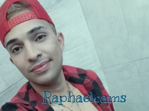 raphaelcams Archive DVD BIZ