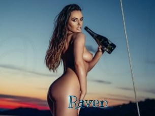 raven Archive DVD BIZ