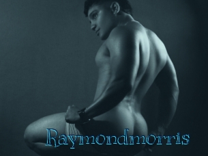 raymondmorris Archive DVD BIZ