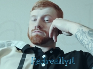 redreallyit Archive DVD BIZ