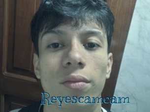 reyescamcam Archive DVD BIZ