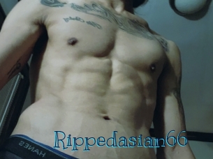 Rippedasian66