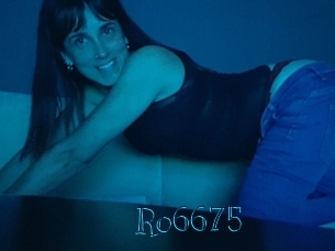 ro6675 Archive DVD BIZ