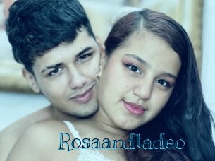 rosaandtadeo Archive DVD BIZ
