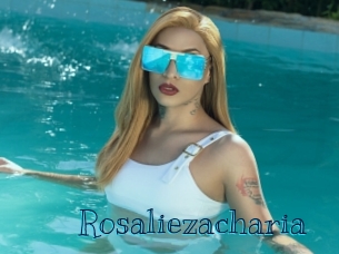 rosaliezacharia Archive DVD BIZ
