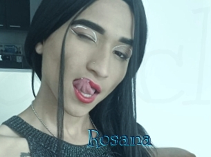 rosana Archive DVD BIZ